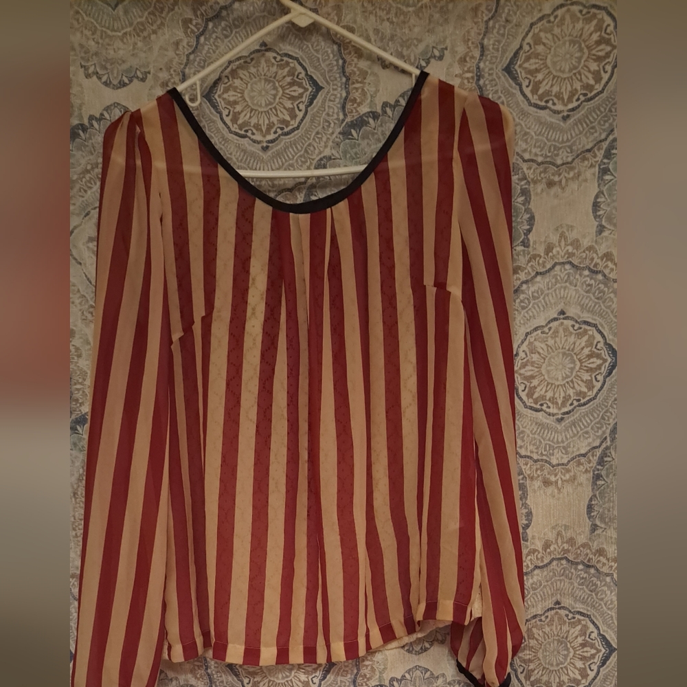 Sheer shirt